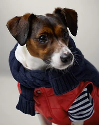 Dog Puffer Jacket