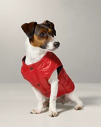 Dog Puffer Jacket