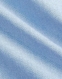 Custom Fit Polo Bear Oxford Shirt