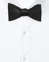 Silk Satin Bow Tie