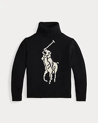 Big Pony Wool Turtleneck Sweater