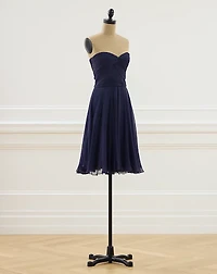 2010 Raquel Georgette Dress - Size 2