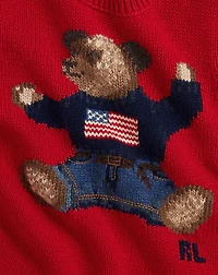 Polo Bear Sweater Dress