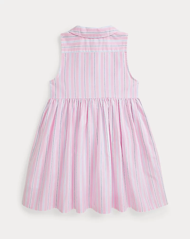 Striped Cotton Oxford Shirtdress