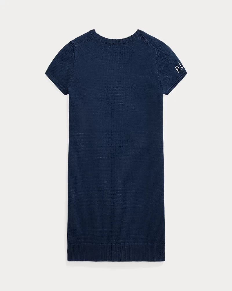 Polo Bear Sweater Dress