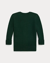 Polo Bear Sweater