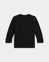 Polo Bear Sweater
