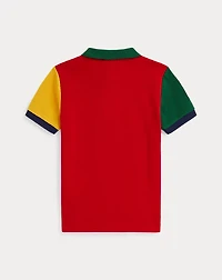 Big Pony Color-Blocked Mesh Polo Shirt