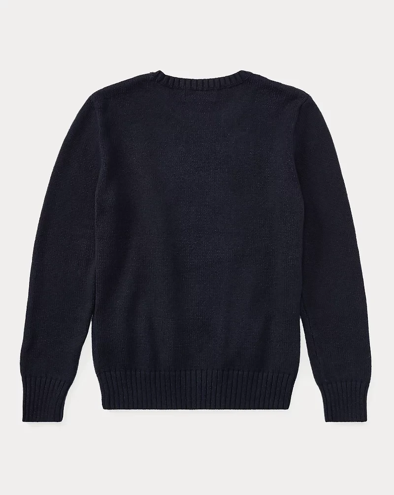 Polo Bear Cotton Sweater