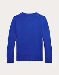 Polo Bear Cotton Sweater