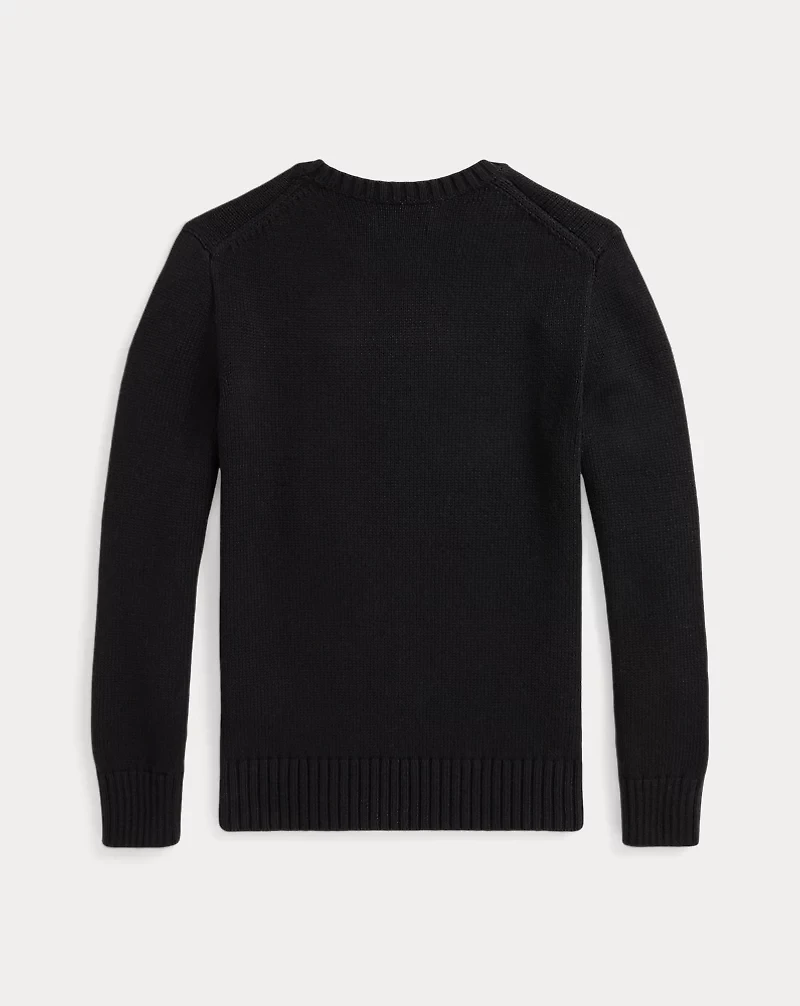 Polo Bear Sweater