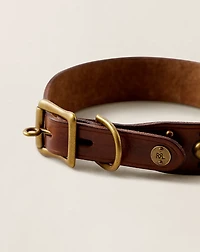 Studded Leather Dog Collar