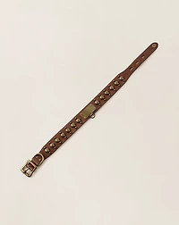Studded Leather Dog Collar