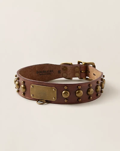 Studded Leather Dog Collar