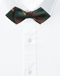 Striped Silk Bow Tie