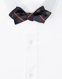 Striped Silk Club Bow Tie