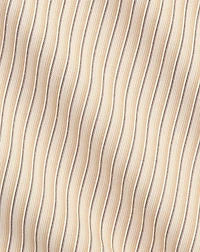 Slim Fit Striped Dobby Shirt