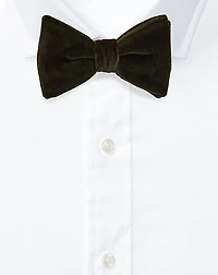 Velvet Bow Tie