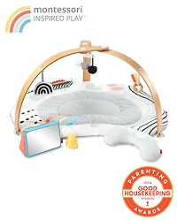 Baby Discoverosity Montessori-Inspired Play Gym