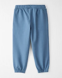 Toddler 2-Pack Organic Cotton French Terry Sweatpants
