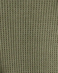 Baby Boy 2-Pack Dinosaur Print PurelySoft Long-Sleeve Multipack Bodysuits - Green