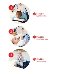 Celestial Dreams Activity Gym