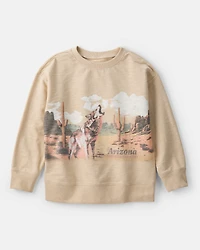 Boys Arizona Western Cotton Pullover Sweatshirt - Brown