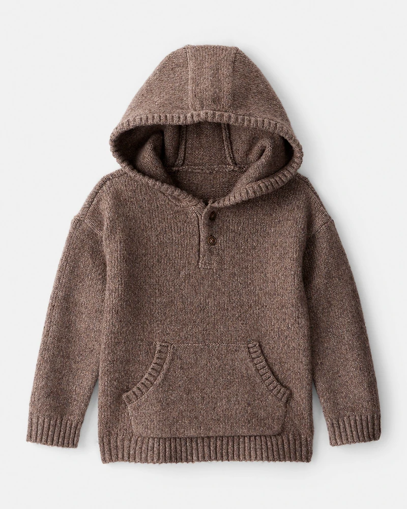 Toddler Boy Long-Sleeve Hooded Sweater - Brown