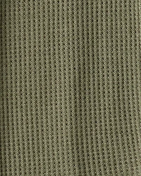 Baby Boy 2-Pack Dinosaur Print PurelySoft Pull-On Pants - Green