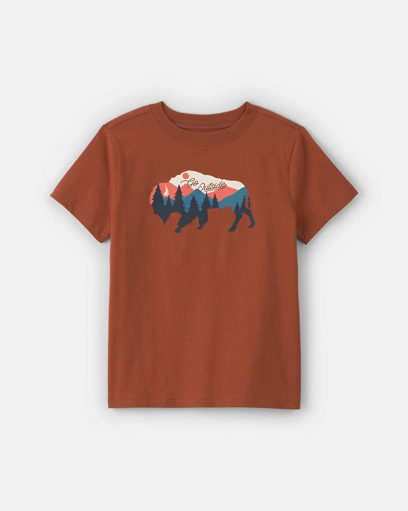 Boys Buffalo Mountain Graphic Tee - Brown