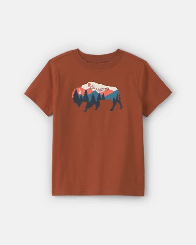 Boys Buffalo Mountain Graphic Tee - Brown