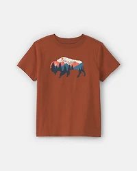 Boys Buffalo Mountain Graphic Tee - Brown