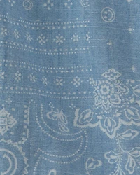 Boys Bandana Floral Chambray Short - Blue