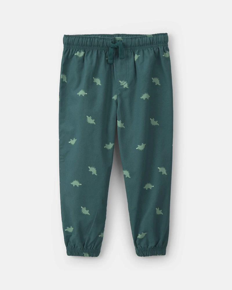Baby Boy 2-Piece Dinosaur Fleece Hooded Top & Pant Set - Grey/Green