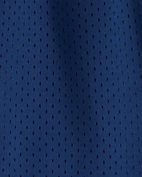 Toddler Boy Stripe Mesh Active Shorts - Blue