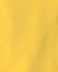 Toddler Boy Raincoat - Yellow