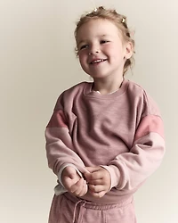 Toddler Girl Colorblock Dolman-Sleeve Sweatshirt - Mauve
