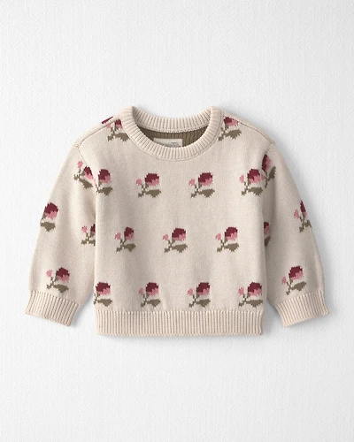 Baby Organic Cotton Sweater Knit Pullover in Wildflower Maize