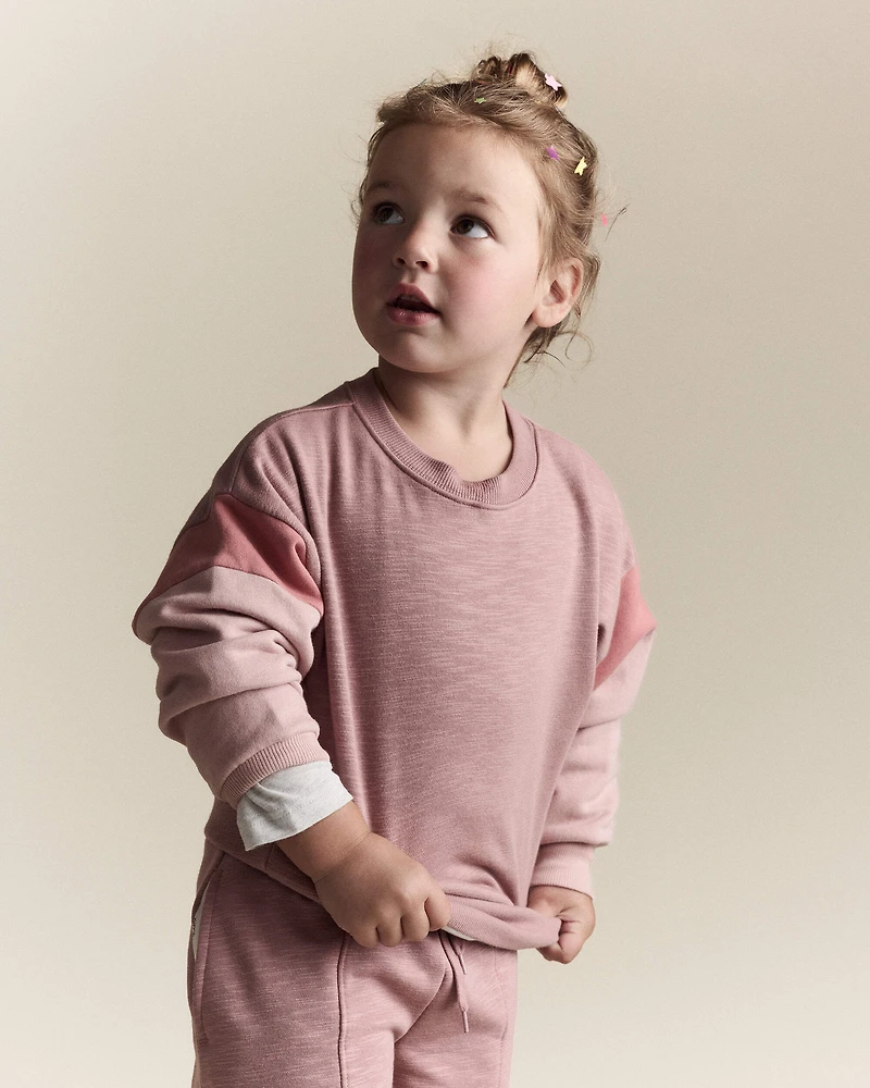 Toddler Girl Colorblock Dolman-Sleeve Sweatshirt - Mauve