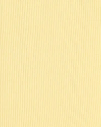 Girls Bike Shorts - Yellow