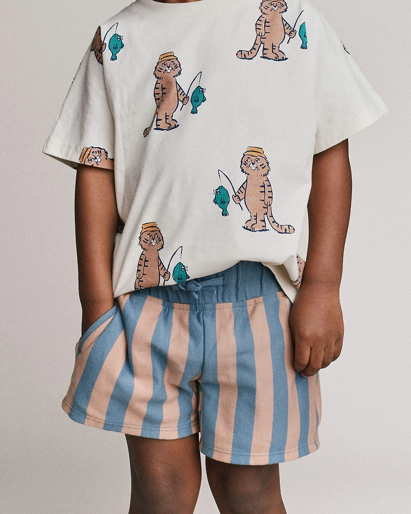 Toddler Boy Long-Line Shorts in Stripes - Slate Blue/Brown