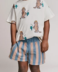 Toddler Boy Long-Line Shorts in Stripes - Slate Blue/Brown