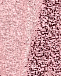 Baby Girl Pull-On Stretch Metallic Leggings - Pink