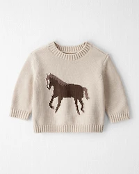 Baby Organic Cotton Horse Sweater Knit Pullover