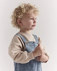 Toddler Avenue Wash Denim Overalls - Blue