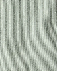 Toddler -Pack Organic Cotton Tees