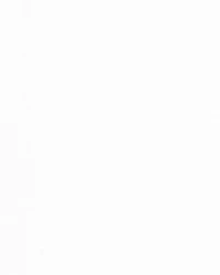 Girls 2-Pack Cotton Undershirts