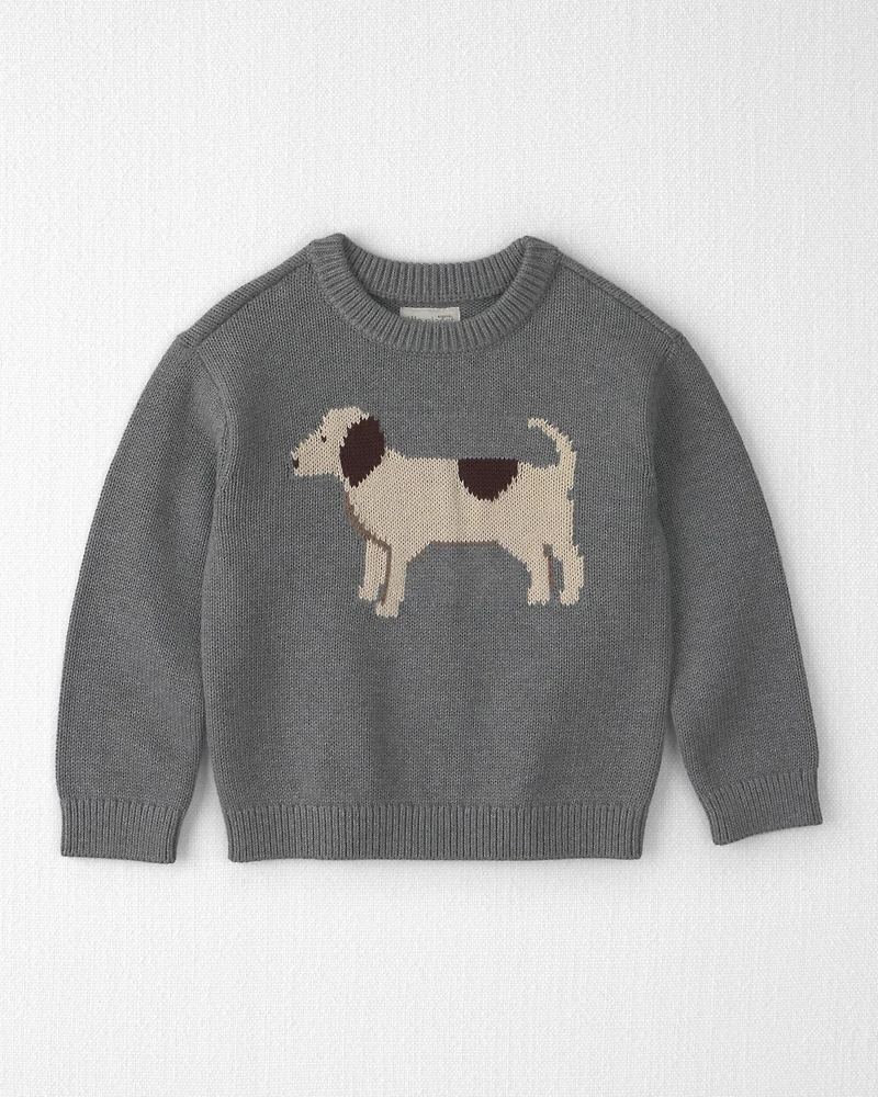 Toddler Organic Cotton Dog Sweater Knit Pullover