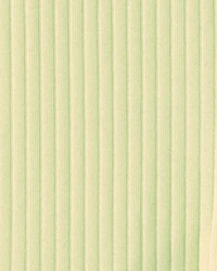 Baby Girl Ribbed Bike Shorts - Green