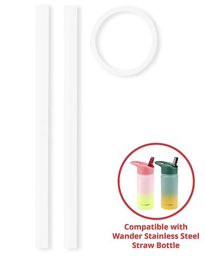 Wander Straw Bottle Extra Straws - 2-Pack